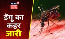 Kanpur News: कुरशोली में Dengue का कहर जारी, अबतक 10 मरीजों की हुई मौत । 10 Ka Dum
