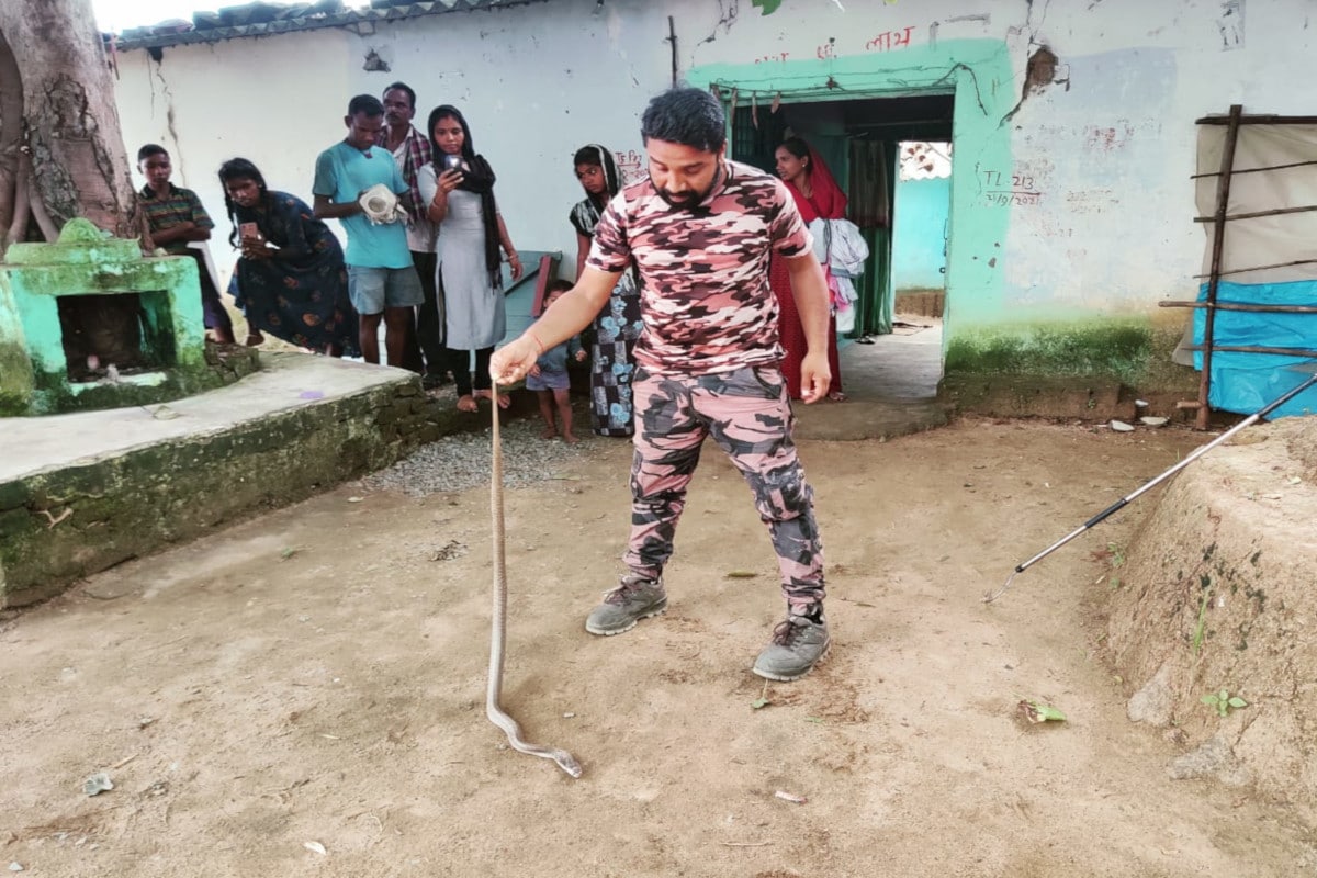 बीते शुक्रवार की इस घटना में बिना देरी किए मां ने बच्चे को सांप से दूर किया. साथ ही घर से बाहर निकल आस पास के लोगों को सांप होने की जानकारी दी.