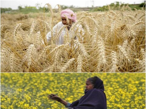 कैबिनेट की बैठक में रबी की फसलों की एमएसपी बढ़ाने का फैसला लिया गया है. 