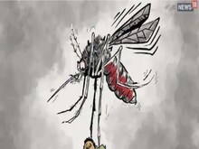 फिरोजाबाद: डेंगू और स्क्रब टाइफस के मामले मिलने के बाद केंद का अलर्ट