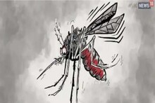 फिरोजाबाद: डेंगू और स्क्रब टाइफस के मामले मिलने के बाद केंद्रीय सचिव ने किया अलर्ट