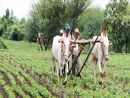 प्रधानमंत्री किसान सम्मान निधि योजना (PM Kisan Samman Nidhi Yojana)