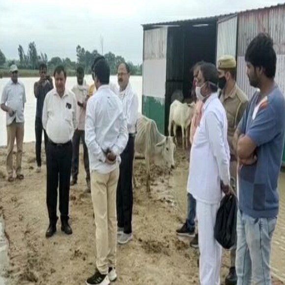 gaushala, Hardoi News, Cow deaths, UP News,