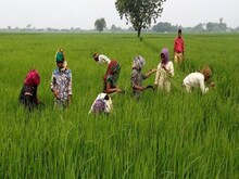 किसानों को इस योजना के तहत मिलेंगे 40,000 रुपये, जानिए कौन उठा सकता है लाभ?