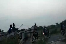 पाली तांगा दौड़ प्रतियोगिताः हाईवे पर चाबुक की मार खाकर दौड़ते रहे घोड़े, एक बेसुध होकर गिरा, देखें Video