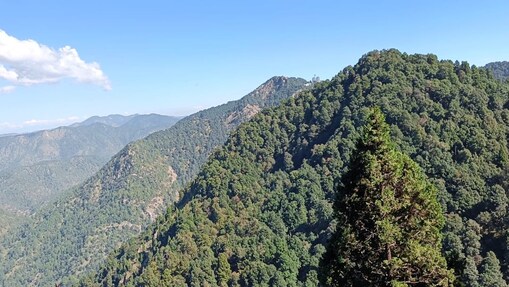 नैना नैना
