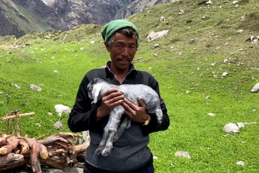 हरि हरि