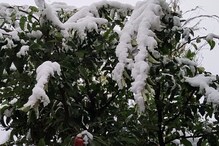 लाहौल स्पीति में सीजन की पहली बर्फबारी, पर्यटक Snow Fall का जमकर उठा रहे लुत्फ