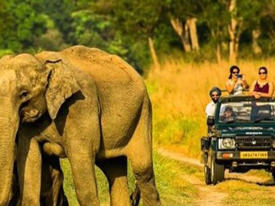  कॉर्बेट टाइगर रिजर्व का नाम रामगंगा नेशनल पार्क करने की उठी मांग 