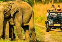 ...तो क्या बदल जाएगा Jim Corbett National Park का नाम, जानिए क्या होगा नया और ऐसा हो रहा क्यों?