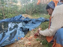 पिथौरागढ़ में धूमधाम से मनाई गई छठ, प्रवासियों ने राज्य सरकार से की ये मांग