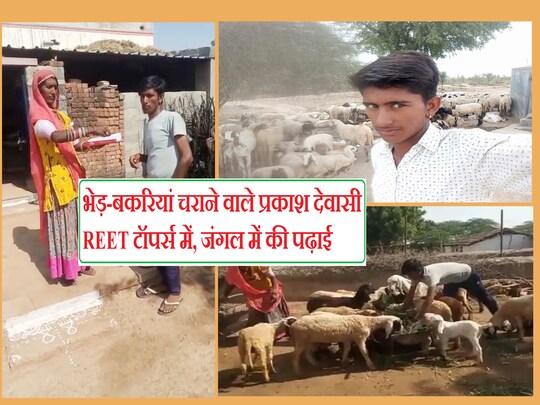Prakash Dewasi success story: पाली जिले के छोटे से गांव बोयल (सोजत) में रहने वाले प्रकाश देवासी ने REET लेवल-1 में 146 अंक हासिल कर प्रदेश में छठा स्थान प्राप्त किया है.