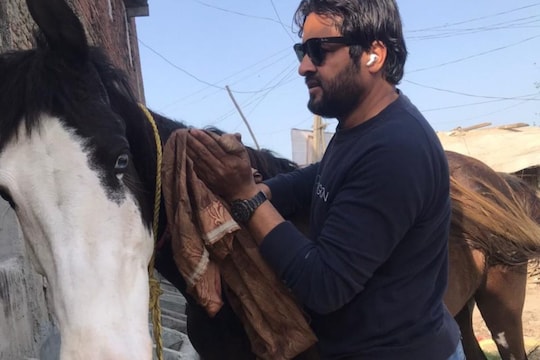 Rampur: 82 हजार रुपए में खरीदी थी घोड़ी. (File photo)