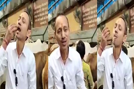गाय का गोबर खाते हुए डॉक्टर मनोज मित्तल
