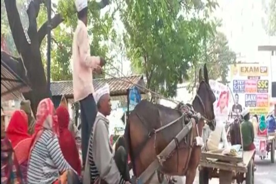 मेरठ के कमिश्नरी पार्क चौराहे पर दर्जनों घोड़ों ने जाम लगा दिया.
