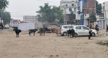 जानिए कानपुर की वीआईपी विधानसभा सीट महाराजपुर की जनता का मिजाज और क्या हैं उनके प्रमुख मुद्दे