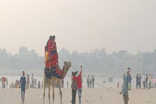 Varanasi News: काशी में लीजिए राजस्थान का मजा,करिए ऊंट की सवारी और बहुत कुछ