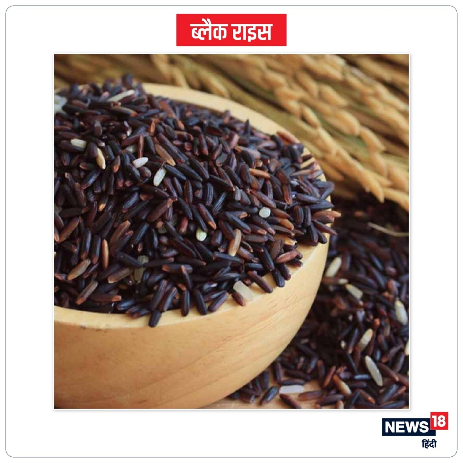 Black Rice