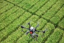 बिहार में किसानों का 'दोस्त' बनेगा ड्रोन, खेत में कीट-पतंगों को खत्म कर बढ़ाएगा पैदावार