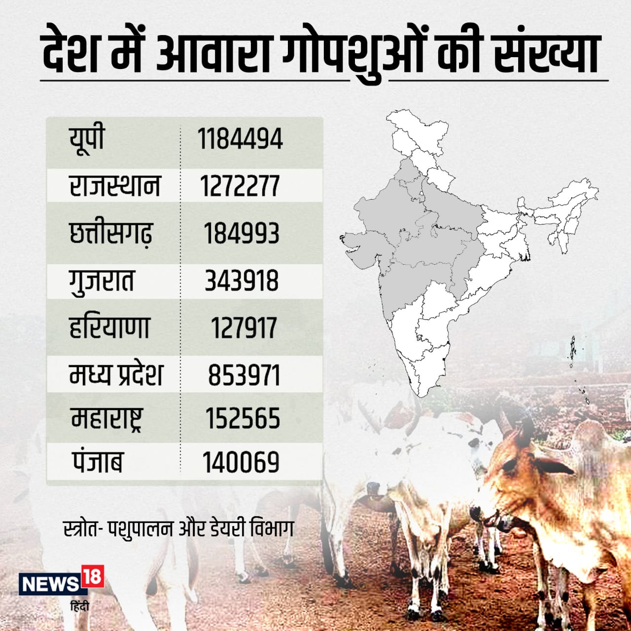 stray cows, cows on road, india, UP, Rajasthan, farmer, lok sabha, cow shelter, आवारा गायें, सड़क पर गायें, भारत, यूपी, राजस्थान, किसान, लोकसभा, गौशाला