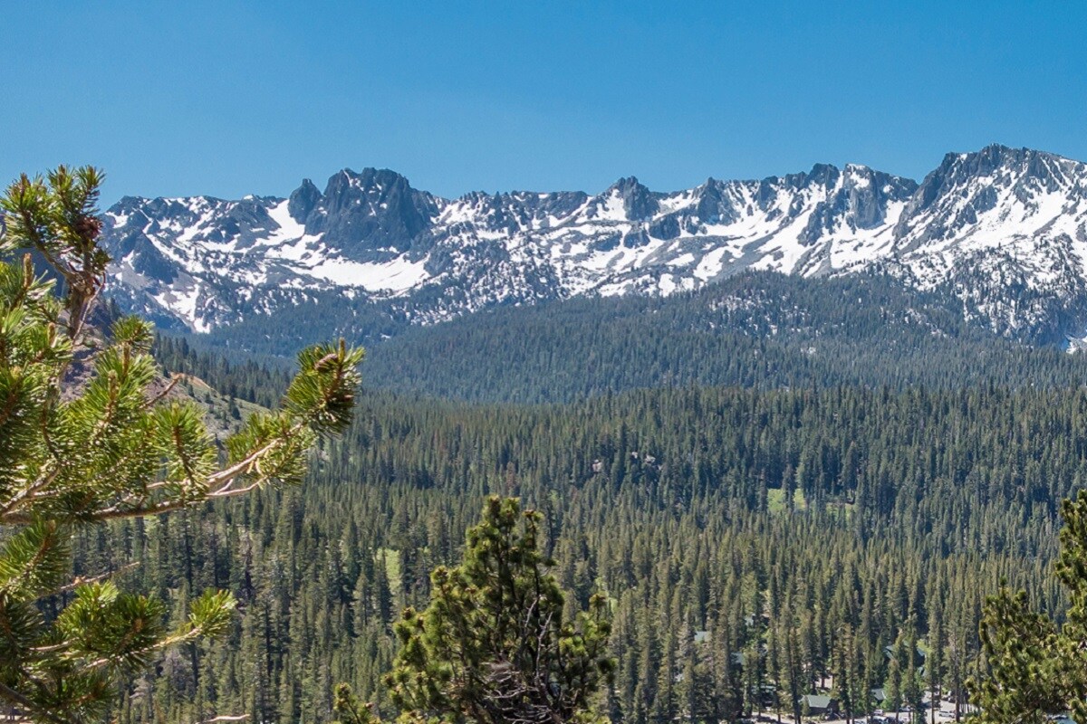  इस अध्ययन में बताया गया है कि सामान्य सालों में पश्चिमी अमेरिका (Western US) के सिएरा नवेदा में गिरी बर्फ कैलीफोर्निया (California) के पानी की 30 प्रतिशत को जरूरत को पूरा करती है, लेकिन हाल ही में इस राज्य में कई बर्फ के अकाल (Snow Drought) के कई दौर देखे गए हैं. साल 2021 की वसंत में सिएरा को सामान्य बर्फीले पानी का केवल 59 प्रतिशत ही मिला है. मई के महीने तक गर्म तापमान ने उसे 10 प्रतिशत तक पहुंचा दिया और जून में तो एक तरह से पूरी की पूरी बर्फ ही गायब हो गई थी. (तस्वीर: shutterstock)