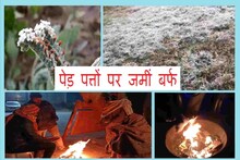 Rajasthan Weather Alert: पारा पहुंचा जमाव बिन्दु से नीचे, फतेहपुर @-1.4 डिग्री, बर्फ जमीं