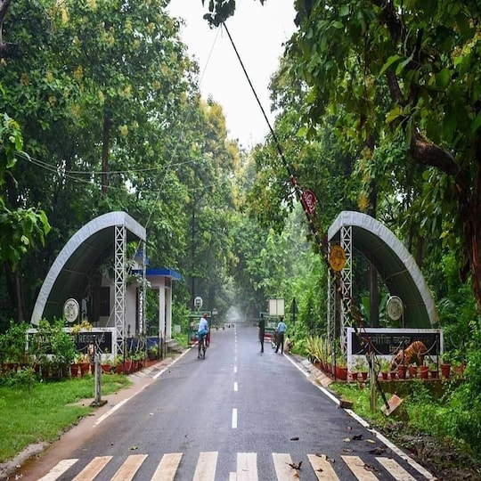 वाल्मीकि टाइगर रिजर्व में पहली बार पक्षियों की गणना हो रही है.