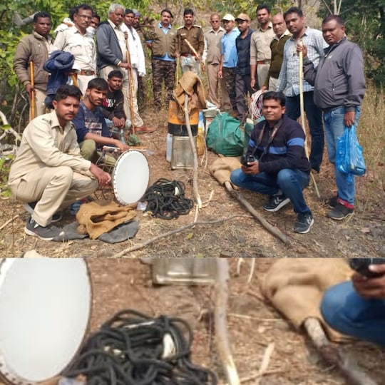 Baby Bear Rescue Video: बैतूल में सतपुड़ा टाइगर रिजर्व की टीम ने पेड़ के तनों में फंसे भालू के बच्चे को बचा लिया. 