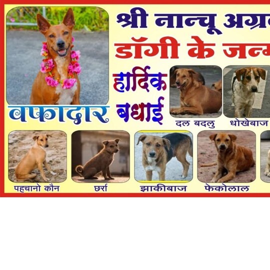 बैतूल में एक शख्स ने अपने डॉगी के बर्थडे पर अजीबो-गरीब होर्डिंग लगाया.