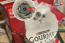 प्रेमिका की पालतू बिल्ली के लिए खरीदा खाने का डिब्बा, अंदर से निकली खौफनाक चीज