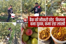Banker turned gardener!  Started guava farming leaving 1 lakh job, now earning 50 lakhs annually