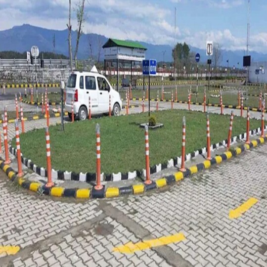 ड्राइविंग लाइसेंस संबंधी प्रक्रियाओं के लिए आयुर्वेदिक मेडिसिन में ग्रेजुएट डॉक्टर मेडिकल फिटनेस सर्टिफिकेट जारी कर सकेंगे. (प्रतीकात्मक तस्वीर)