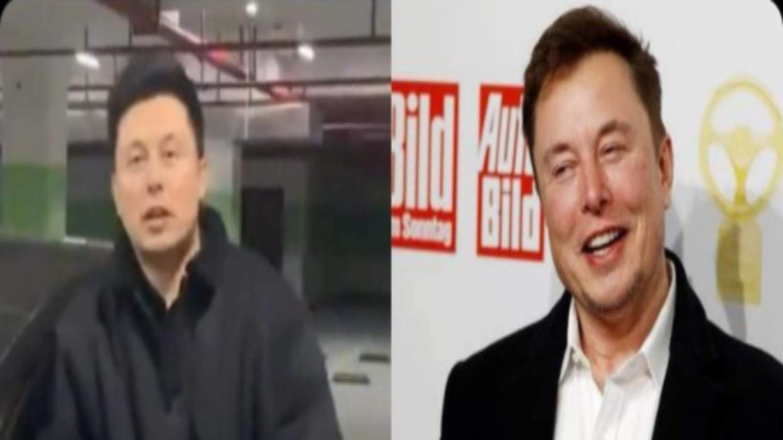 तो क्या चाइनीज़ हैं एलन मस्क ? इंटरनेट पर वायरल हो रहा है जुड़वां भाई