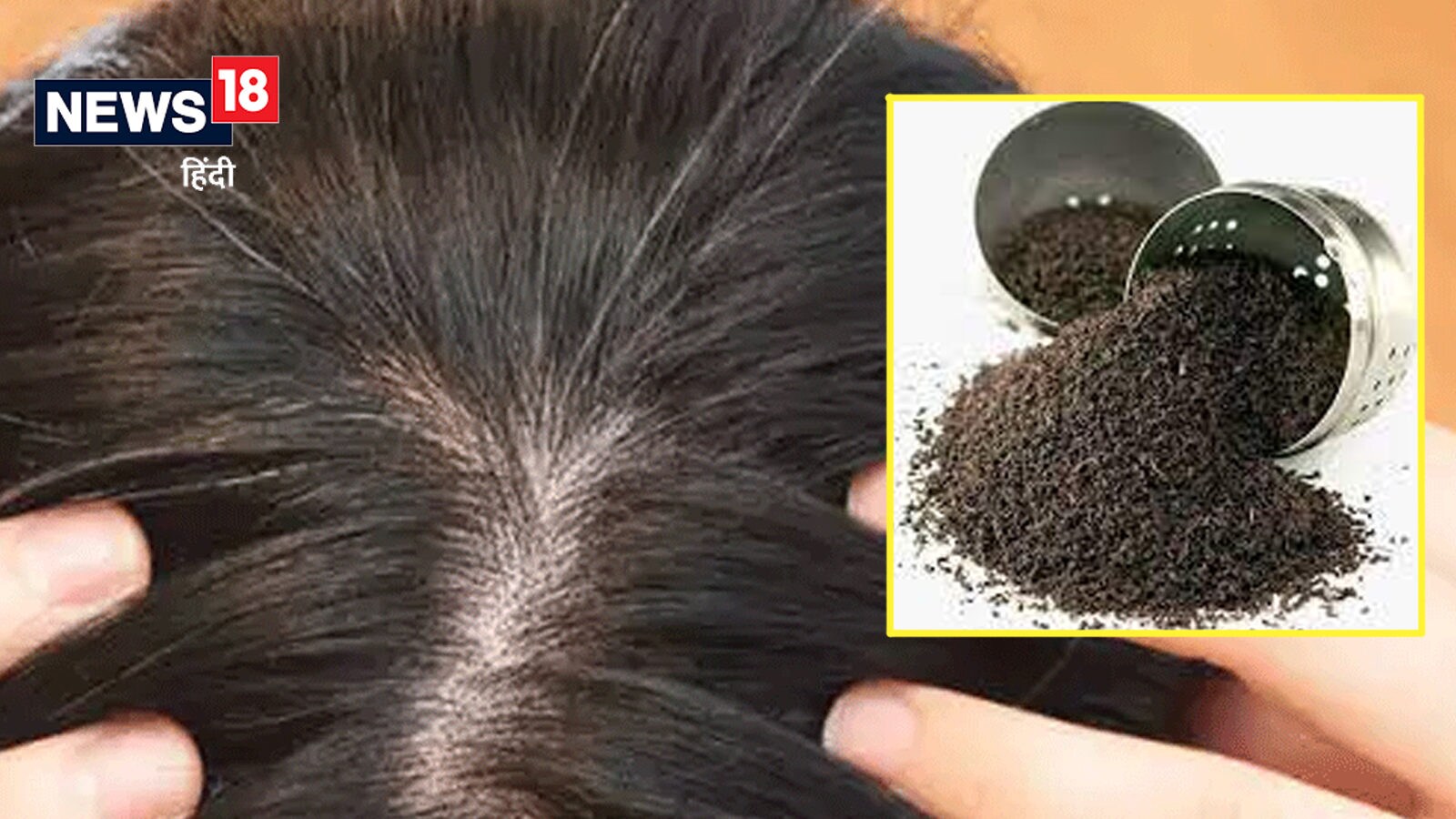 सफेद होते बालों को काला रखने के लिए चायपत्‍ती का इस तरह करें प्रयोग, ये