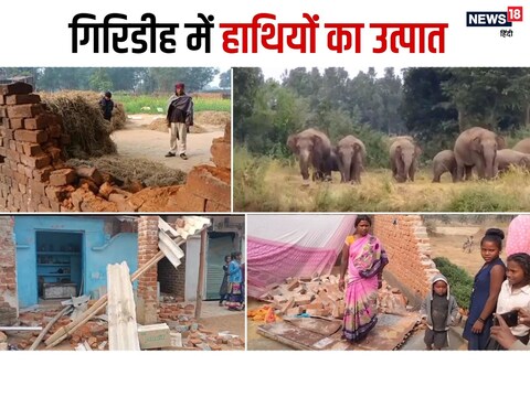 झारखंड के गिरिडीह जिले में एक बार फिर से हाथियों ने जमकर उत्पात मचाया है.