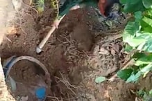 जमुई में जंगल से 1 क्विंटल विस्फोटक और हथियार बरामद,पुलिस पर हमले की थी तैयारी