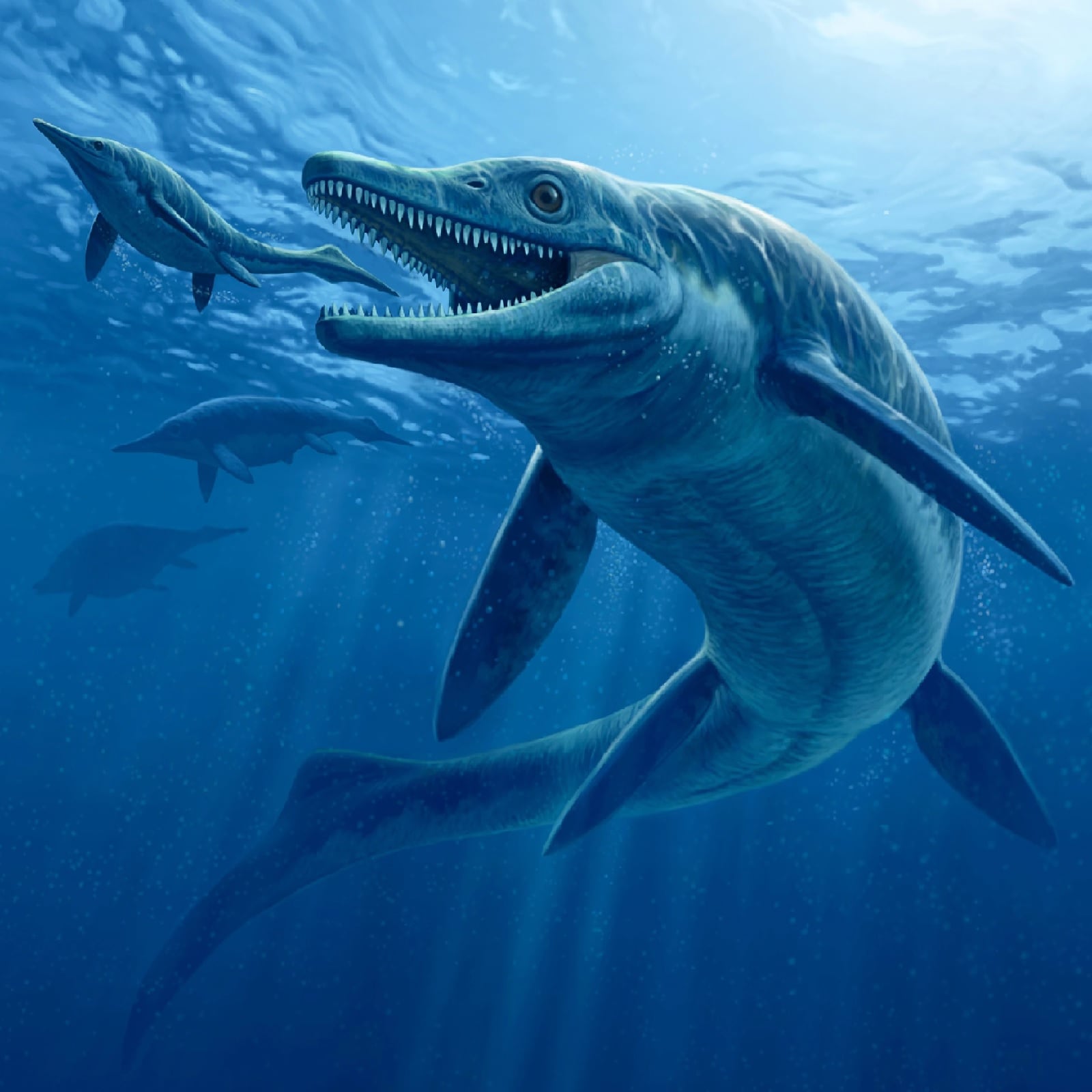   अमेरिका में वैज्ञानिकों की एक टीम ने डायनासोर के समय के एक समुद्री राक्षस (Sea Monster) की खोज की है. इस जीव की लंबाई 55 फीट तक देखी गई है. इस जीव के सिर का आकार 6.5 फीट मापा गया है. इस जीव का नाम इचिथ्योसॉर (ichthyosaur) है, जो समुद्री मछली का ही एक प्रकार है. रिसर्च से पता चला है कि मछली के आकार के इन समुद्री सरीसृपों (Reptiles) का आकार 24 करोड़ साल पहले काफी तेजी से बढ़ा.