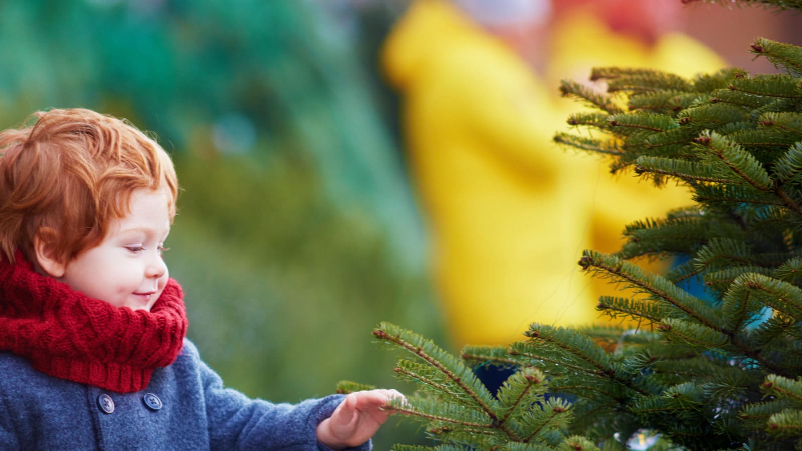 Christmas Tree Vastu Tips घर में जरूर रखें क्रिसमस ट्री, दूर होते हैं