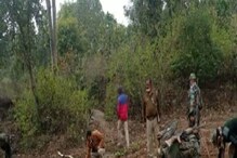 झारखंड में सरकारी जमीन पर अफीम की खेती, पुलिस ने नष्ट की 10 एकड़ में लगी फसल
