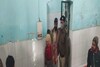 बिहार में पूर्व मुखिया की दिनदहाड़े हत्या, हॉस्पिटल कैंपस में ताबड़तोड़ बरसाई गोलियां