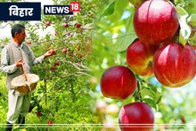 Good News: बिहार के सेब में भी मिलेगा कश्मीर जैसा स्वाद, किसानों को भी होगा फायदा!