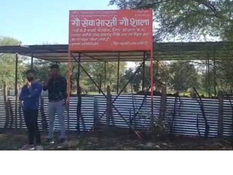 MP Big News: भोपाल में बीजेपी नेत्री निर्मला देवी की गौशाला में कई गायों की मौत होने से हड़कंप मच गया.