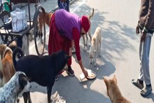 बेसहारा Dogs की 'दोस्त' बनी बौद्ध भिक्षु, हर दिन अपने हाथों से बनाती है उनके लिए खाना