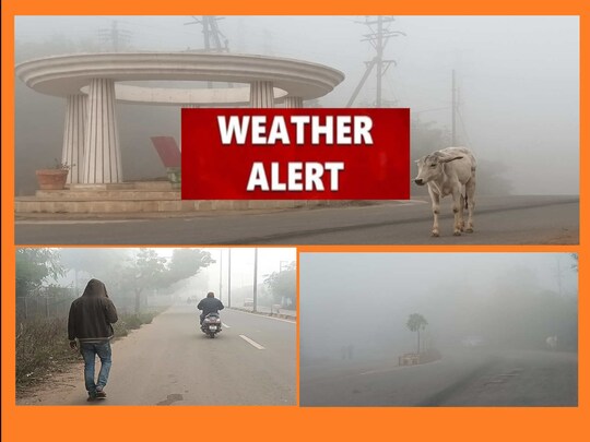 MP Weather Alert: मध्य प्रदेश के कई इलाकों में बारिश हो सकती है. पाकिस्तान से आने वाली हवाएं प्रदेश के मौसम पर असर डाल रही हैं.