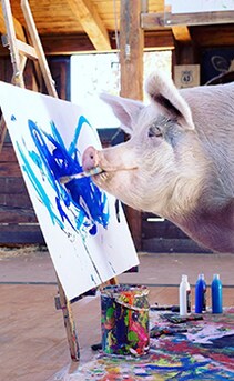 सुअर की कला देखकर बड़े-बड़े आर्टिस्ट रह जाते हैं दंग!