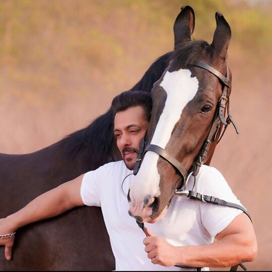 सलमान खान ने पड़ोसी के खिलाफ किया मानहानि का केस. (फोटो साभारः Instagram @beingsalmankhan)