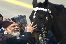 राष्ट्रपति के रक्षादल का घोड़ा 'विराट' हुआ रिटायर, दी गई VVIP विदाई