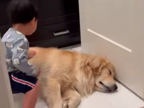 कुत्ते का ध्यान रखते हुए बच्चे का वीडियो वायरल हो रहा है. (फोटो: Instagram)