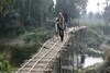 ये है सोनिया गांधी की रायबरेली! जान हथेली पर रख बांस के पुल से गुजरते हैं लोग