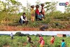 कारोबार छोड़ कर झारखंड के युवा किसान कर रहे खेती, आ रहा है करोड़ों का टर्नओवर